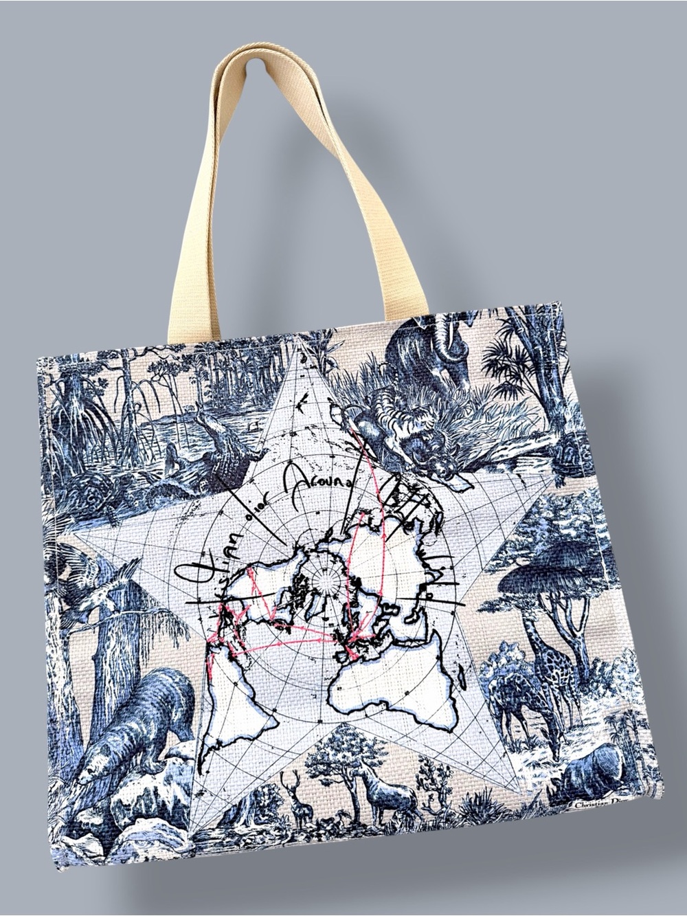 DIOR GWP Canvas Star Map Tote Bag in Blue and Cream